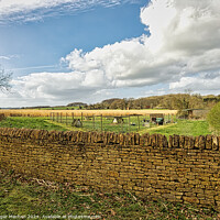 Buy canvas prints of The Cotswolds by Roger Mechan