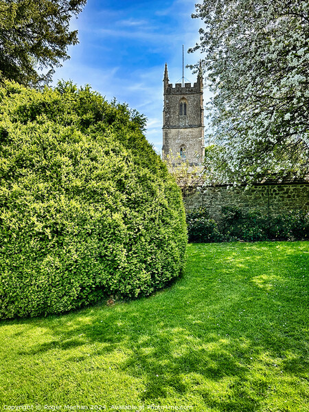 Spring blossom and Norman church Picture Board by Roger Mechan