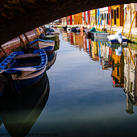 Buy canvas prints of Reflection of colorful Bruno by Adelaide Lin