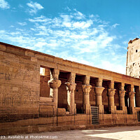 Buy canvas prints of Timeless Beauty: The Mammisi at Philae by Adelaide Lin