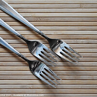 Buy canvas prints of 3 forks by Stan Lihai