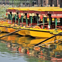 Buy canvas prints of Yellow boats in Beijing park by Stan Lihai