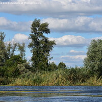 Buy canvas prints of Cumulus clouds over the forest on Dnipro river by Stan Lihai