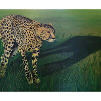 Buy canvas prints of Cheetah Shadow by Mehmood Neky
