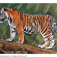 Buy canvas prints of Tiger Painting by Mehmood Neky