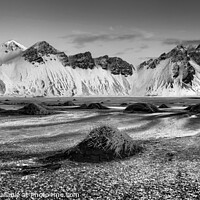 Buy canvas prints of Snowy mountain Vestrahorn Iceland by Giles Rocholl