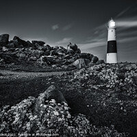 Buy canvas prints of Portland Bill lighthouse Dorset by Giles Rocholl