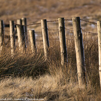 Buy canvas prints of Winter sun abstract fencing Yorkshire by Giles Rocholl