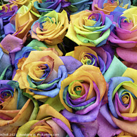 Buy canvas prints of Colourful bunch of roses by Giles Rocholl