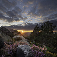 Buy canvas prints of Ilkley Moor sunset and heather Yorkshire by Giles Rocholl