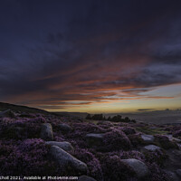 Buy canvas prints of Ilkley Moor sunset and heather Yorkshire by Giles Rocholl