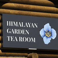 Buy canvas prints of Himalayan Gardens tourism Yorkshire by Giles Rocholl