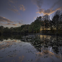 Buy canvas prints of Golden Acre Park Yorkshire by Giles Rocholl