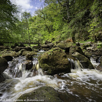 Buy canvas prints of River Esk Goathland Yorkshire by Giles Rocholl