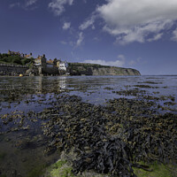Buy canvas prints of Robin Hoods Bay Yorkshire by Giles Rocholl