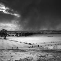 Buy canvas prints of Snowy fields Yorkshire by Giles Rocholl