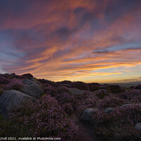 Buy canvas prints of Heather Ilkley Moor Sunset Yorkshire by Giles Rocholl