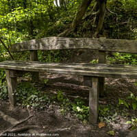 Buy canvas prints of Woodland bench seat by Giles Rocholl