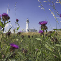 Buy canvas prints of Flamborough Head Lighthouse by Giles Rocholl