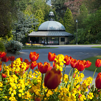 Buy canvas prints of Spring flowers Valley Gardens Harrogate by Giles Rocholl