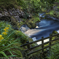 Buy canvas prints of Ingleton waterfalls Yorkshire by Giles Rocholl