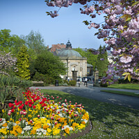 Buy canvas prints of Spring flowers Valley Gardens Harrogate by Giles Rocholl