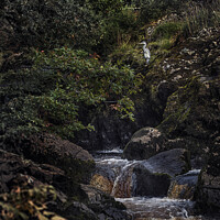 Buy canvas prints of Heron Ingleton waterfalls Yorkshire by Giles Rocholl