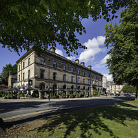 Buy canvas prints of The Fat Badger Harrogate Yorkshire by Giles Rocholl