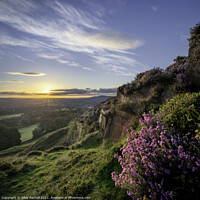 Buy canvas prints of Heather Yorkshire Sunrise by Giles Rocholl