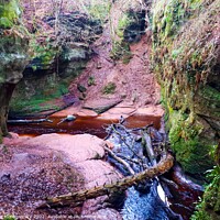 Buy canvas prints of Devil's Pulpit  by Isla Montgomery