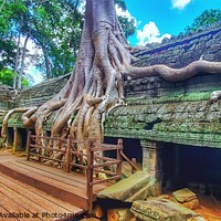 Buy canvas prints of Ta Prohm Temple, Angkor Wat, Cambodia by Arnaud Jacobs