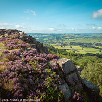 Buy canvas prints of Baslow Edge in Heather by Bob Kent