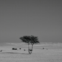 Buy canvas prints of Alone in the desert by Dimitrios Paterakis