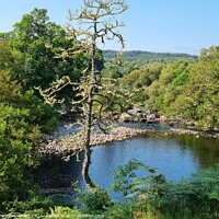 Buy canvas prints of Loch Ness Beauty Spot by Amy Winstanley