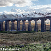 Buy canvas prints of Britannia Crossing Ribblehead Viaduct by Gavin Duxbury