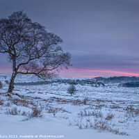 Buy canvas prints of The First Colours Of Dawn by Gavin Duxbury