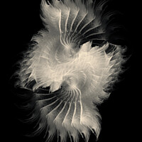 Buy canvas prints of Purity - White Feather Fractal Art by Maria Forrester