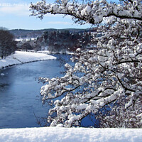 Buy canvas prints of Snowfall at Grantown on Spey by Phil Banks