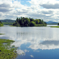 Buy canvas prints of Loch Insh in early summer by Phil Banks