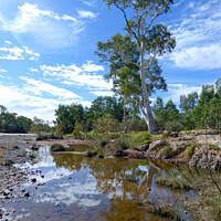 Buy canvas prints of Finke River - Northern Territory, Australia by Phil Banks