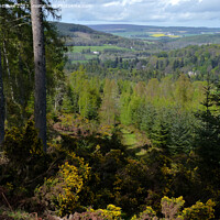 Buy canvas prints of Ballindalloch in Springtime by Phil Banks