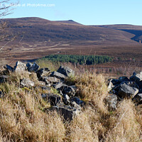 Buy canvas prints of Ben Rinnes from old ruined croft by Phil Banks