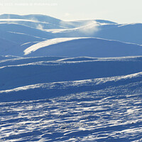 Buy canvas prints of Snow wilderness in the Cairngorms by Phil Banks