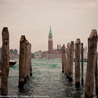 Buy canvas prints of Wooden pillars at Venice bay symmetrically aligned pointing at Italian buildings in the back  by Mihajlo Madzarevic