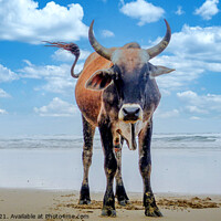 Buy canvas prints of My Beach - Transkei Xhosa Nguni on Wild coast beac by Paul Naude