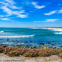 Buy canvas prints of Cape west coast surfers paradise by Paul Naude