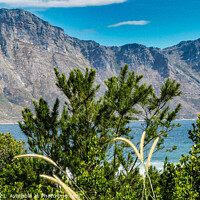 Buy canvas prints of Cool Bay footpath view Steenbras nature reserve by Paul Naude