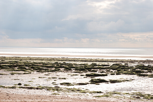 Low tide at Hunstanton Picture Board by Elaine Hayward