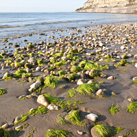 Buy canvas prints of Shanklin beach at low tide by Elaine Hayward