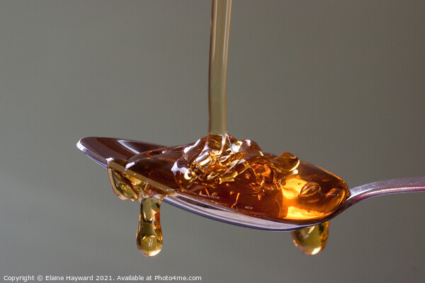 Golden syrup dripping from a silver spoon Picture Board by Elaine Hayward
